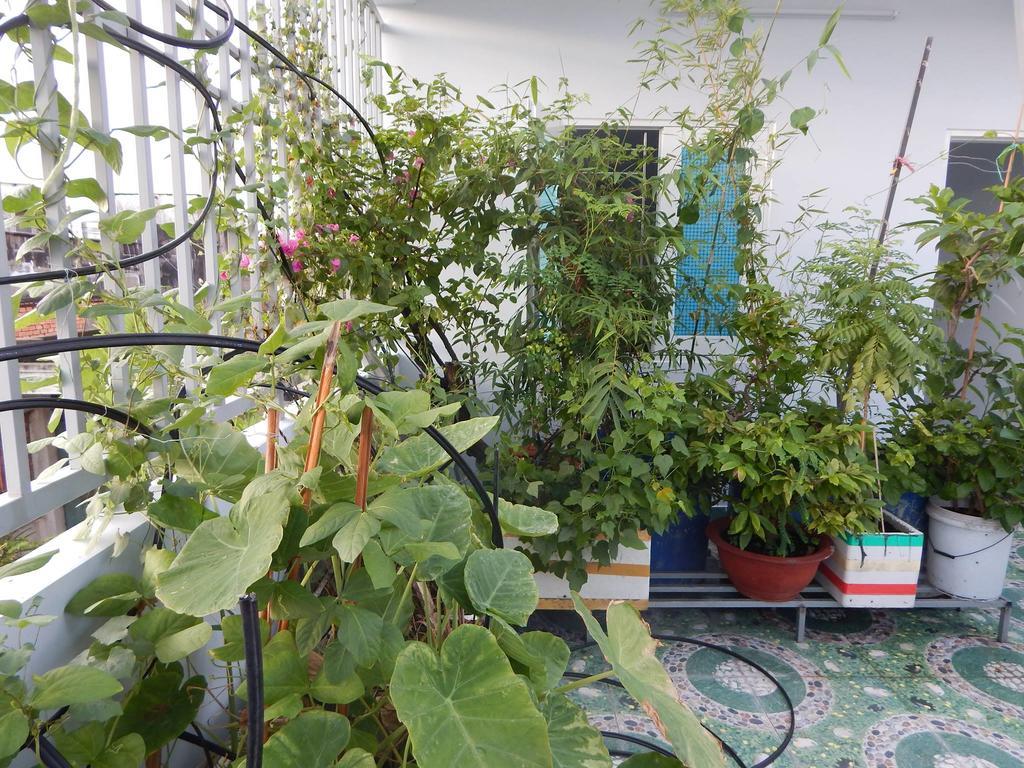 Homestay 37 Ad Ho Chi Minh-Byen Eksteriør billede